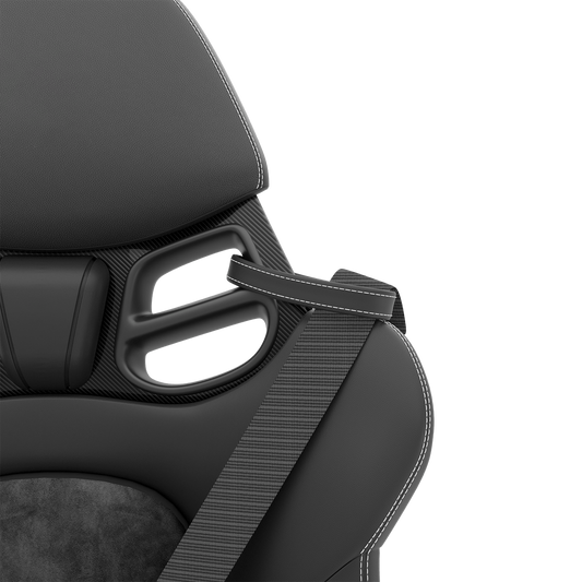 Side Seatbelt Protector